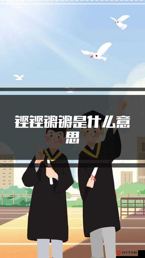 铿锵锵锵锵锵好多少：一场别样精彩盛宴