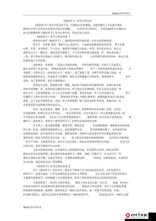 深入交流骑马：技巧与心得分享