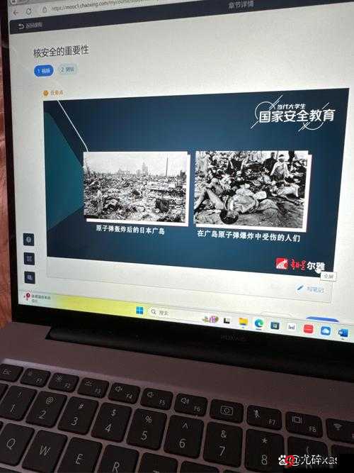 17c.cv 访问安全：重要性与应对策略