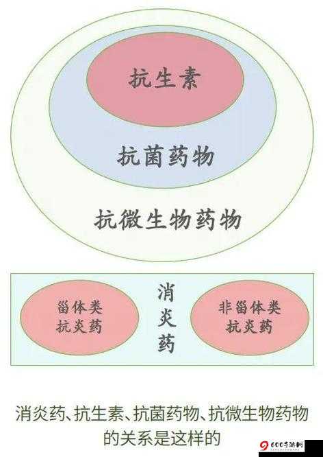 药效 h1v2 蒋沉周：作用机制与应用前景探讨