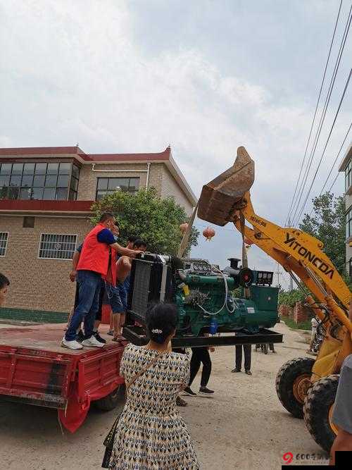 口袋妖怪重制天王渡难关攻略秘籍