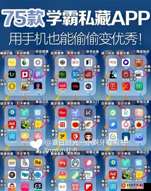 APP辅助工具之冠：最稳定高效的修改辅助利器